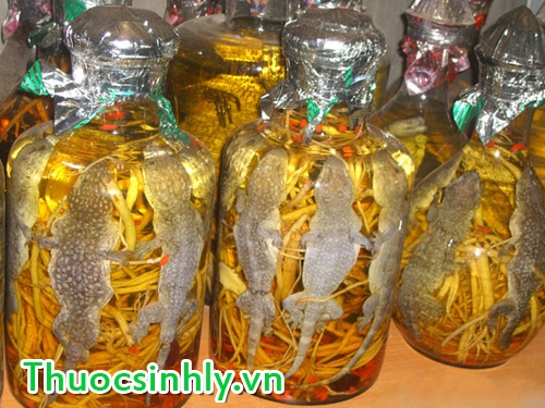 thuoc-tri-yeu-sinh-ly-dan-gian-1