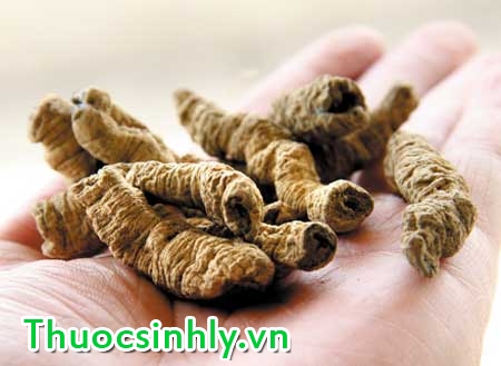 thuoc-tri-yeu-sinh-ly-dan-gian-2