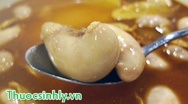 bai-thuoc-chua-yeu-sinh-ly-nam-gioi-b