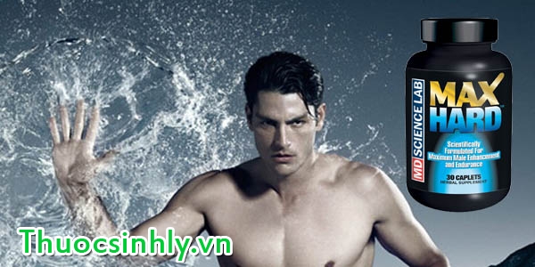 max-hard-tai-ha-noi