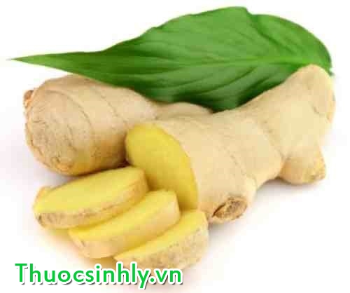 gung tuoi la loai thuoc ho tro sinh ly rat tot cho nam gioi