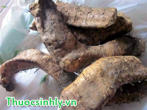 cu mai hoai son giup ho tro sinh ly nam gioi