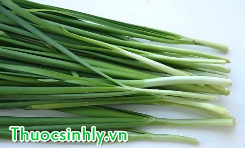 la he la bai thuoc ho tro sinh ly nam gioi rat hieu qua