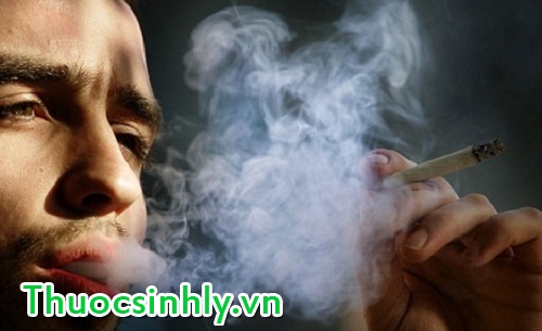 hut thuoc la anh huong den sinh ly nam gioi