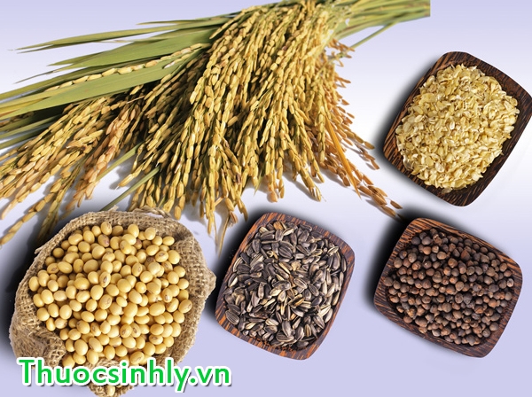 an-gi-de-tri-xuat-tinh-som-hieu-qua