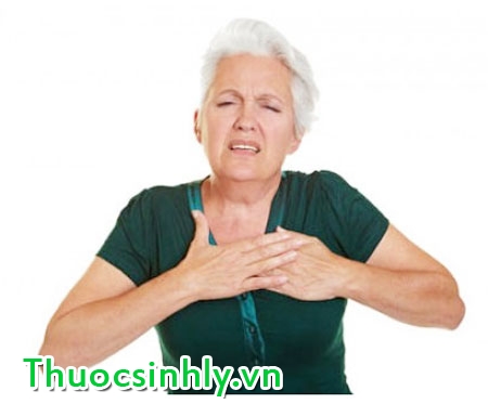 beo-phi-nhung-dieu-can-biet-1