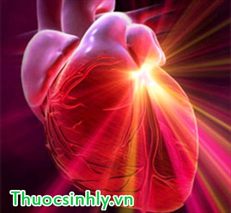 beo-phi-nhung-dieu-can-biet-2