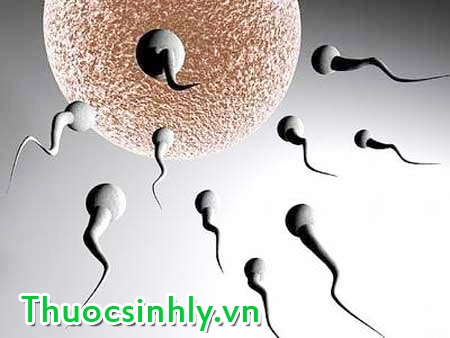 bi-quyet-tinh-duc-sung-man-vuot-thoi-gian-2