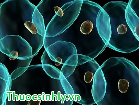 cach-chua-tinh-trung-yeu-1