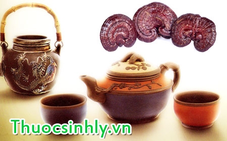 cach-dung-nam-linh-chi-1