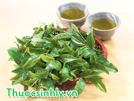 cach-giam-can-sau-tet-hieu-qua-2