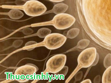 cach-nhan-biet-tinh-trung-yeu