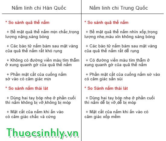 cach-phan-biet-nam-linh-chi-han-quoc-voi-trung-quoc