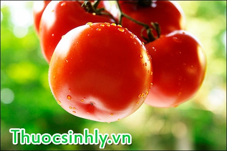 cach-tang-cuong-sinh-ly-tu-thuc-pham-2