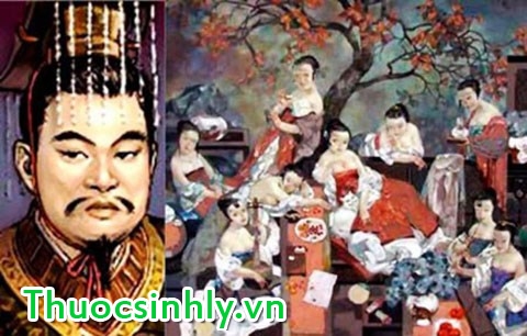 giai-ma-bai-thuoc-tang-cuong-sinh-ly-tuc-thoi-cua-vua-chua-thoi-xua