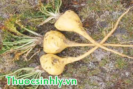 giai-phap-nao-cho-yeu-sinh-ly-nam-gioi-1