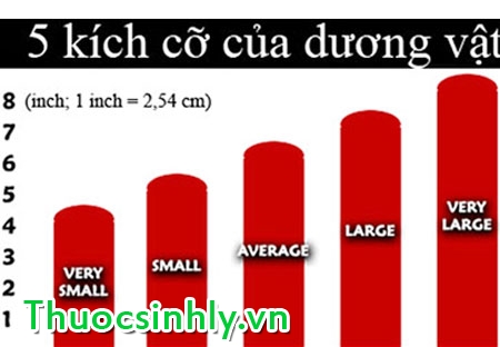 kich-co-cau-nho-the-nao-la-vua-1