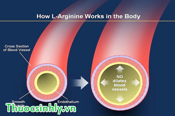 l-arginine-max-trigger