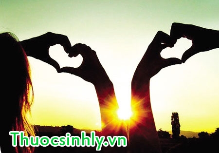 nam-linh-chi-la-gi-3