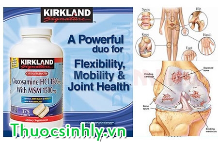 nen-su-dung-glucosamin-the-nao-cho-dung-1