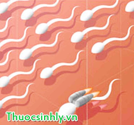 nguyen-nhan-tinh-trung-yeu