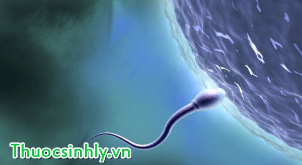 sinh ly nam gioi tuoi 35 sinh-ly-nam-gioi-tuoi-35