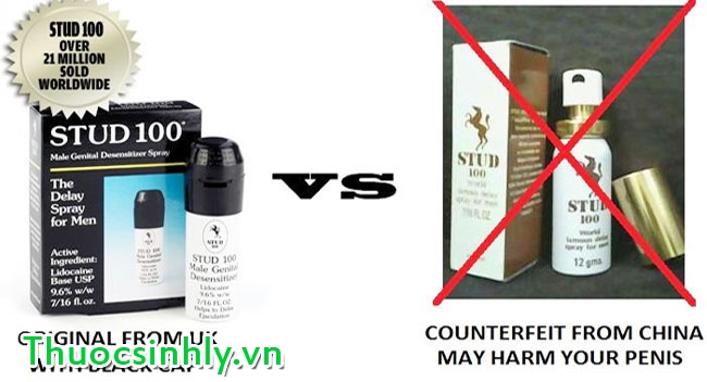 stud-ban-o-dau-tai-ha-noi