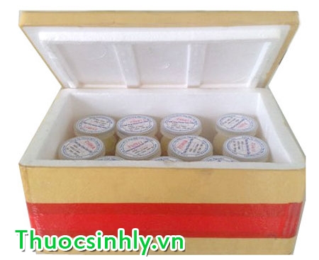 sua-ong-chua-tuoi-mua-o-dau-1