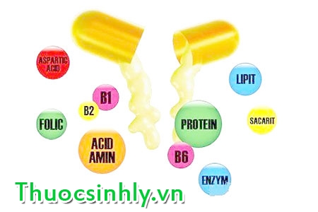 tac-dung-cua-sua-ong-chua-tuoi-1