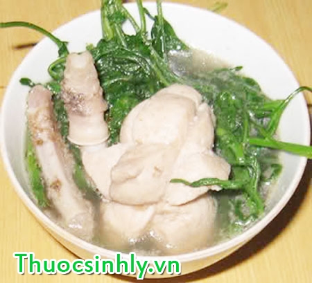 tang-cuong-tinh-trung-1