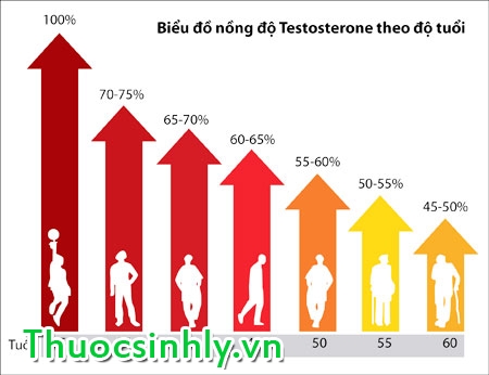 testosterone-la-gi