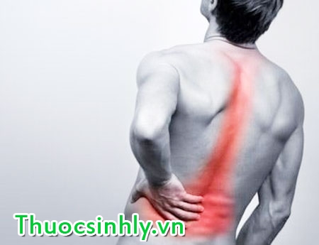 thoai-hoa-xuong-khop-1 thoai-hoa-xuong-khop-1