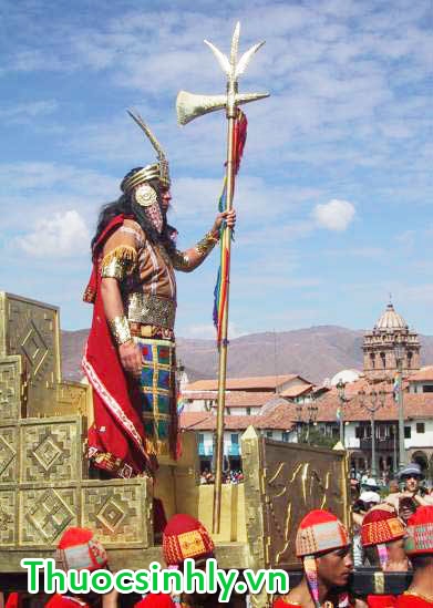 tim-kiem-thao-duoc-manh-hon-ca-vigara-2 tim-kiem-thao-duoc-manh-hon-ca-vigara-2