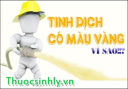 tinh-trung-mau-vang