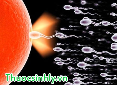 tinh-trung-thap-va-trieu-chung