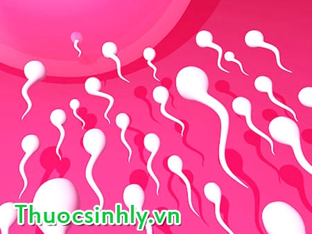 tinh-trung-yeu-co-chua-duoc-khong