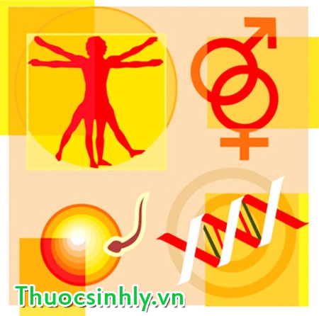 tinh-trung-yeu