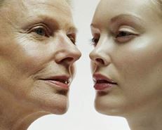 Công dụng của sữa ong chúa