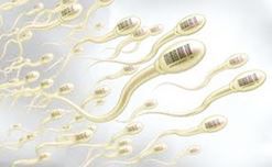 Đàn ông xuất tinh sớm có ảnh hưởng gì sau này không