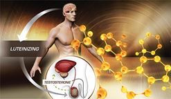 Dấu hiệu cảnh báo Testosterone thấp ở quý ông