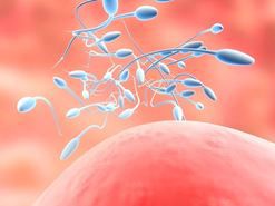 Làm gì khi bị tinh trùng yếu?