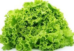 Rong biển có tác dụng gì cho vẻ đẹp?