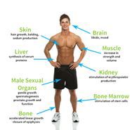 Testosterone tăng cường sinh lý nam giới