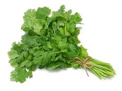 Các loại rau thơm quen thuộc gây yếu sinh lý nam giới