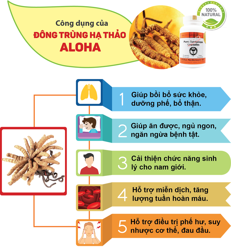 info-dong-trung-ha-thao-aloha